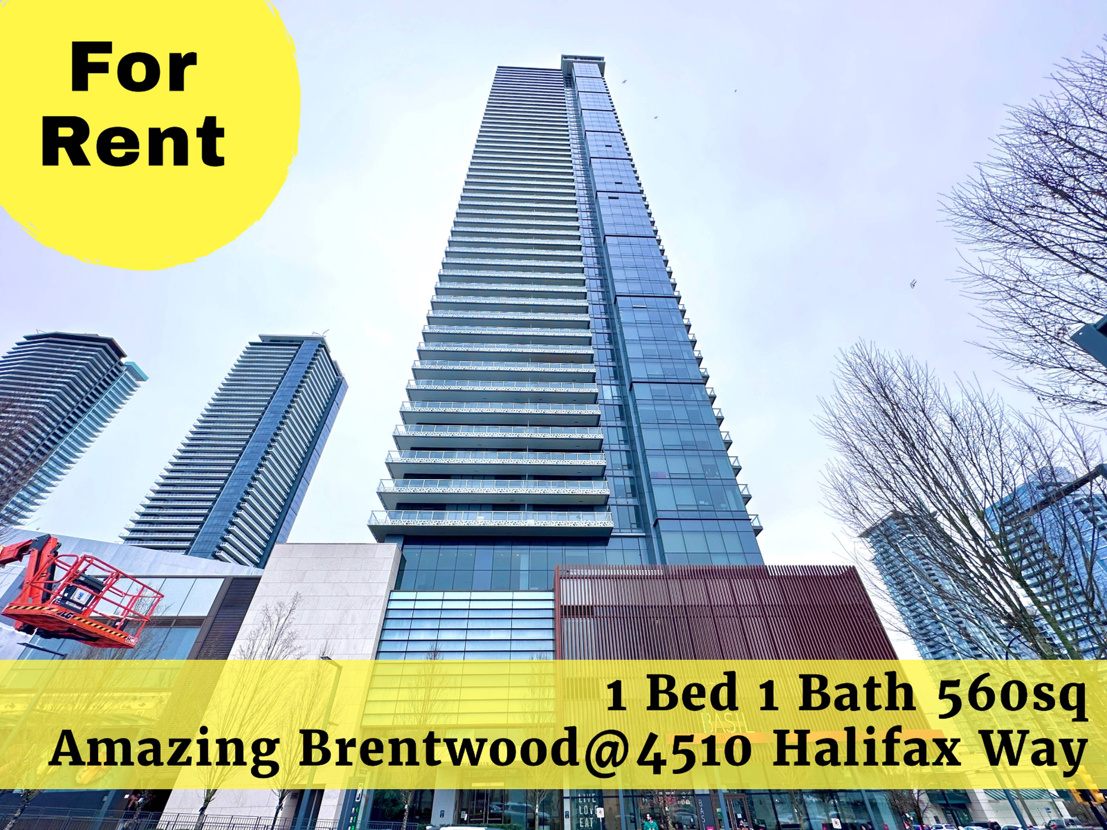 1 Bed  · 1 Bath for rent $2,400 / month